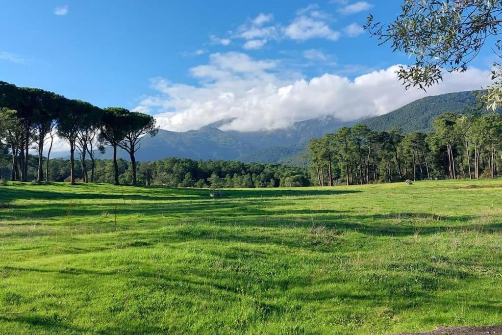 La Pinara Holiday home