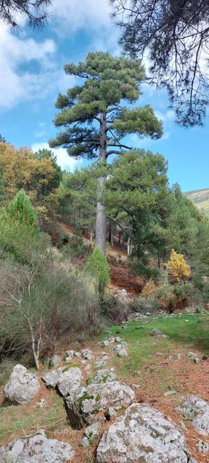 La Pinara Ferienhaus